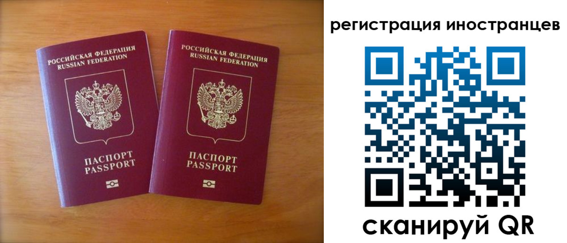 прописка поиск в Красногорске